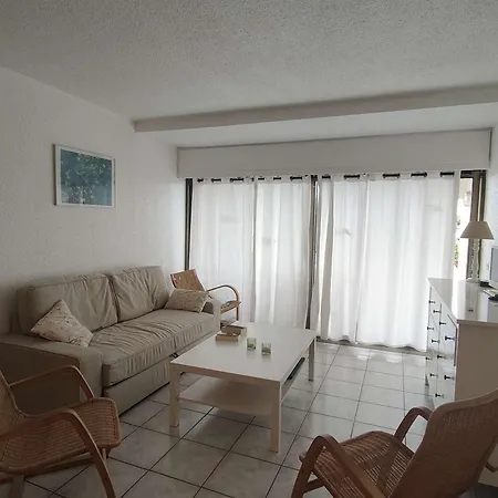 Apartment T2 Avec Terrasse Et Piscine, Parking Prive, Espace Aquatique - - Fr-1-195-22 *