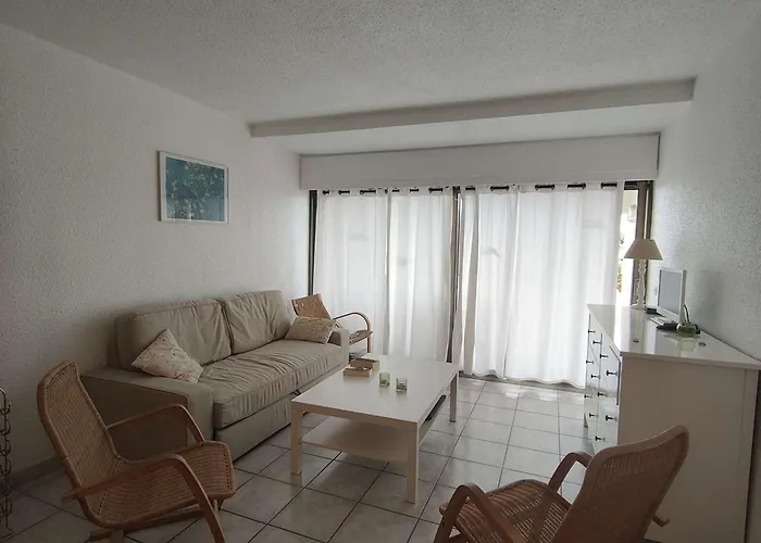 公寓 T2 Avec Terrasse Et Piscine, Parking Prive, Espace Aquatique - - Fr-1-195-22 *